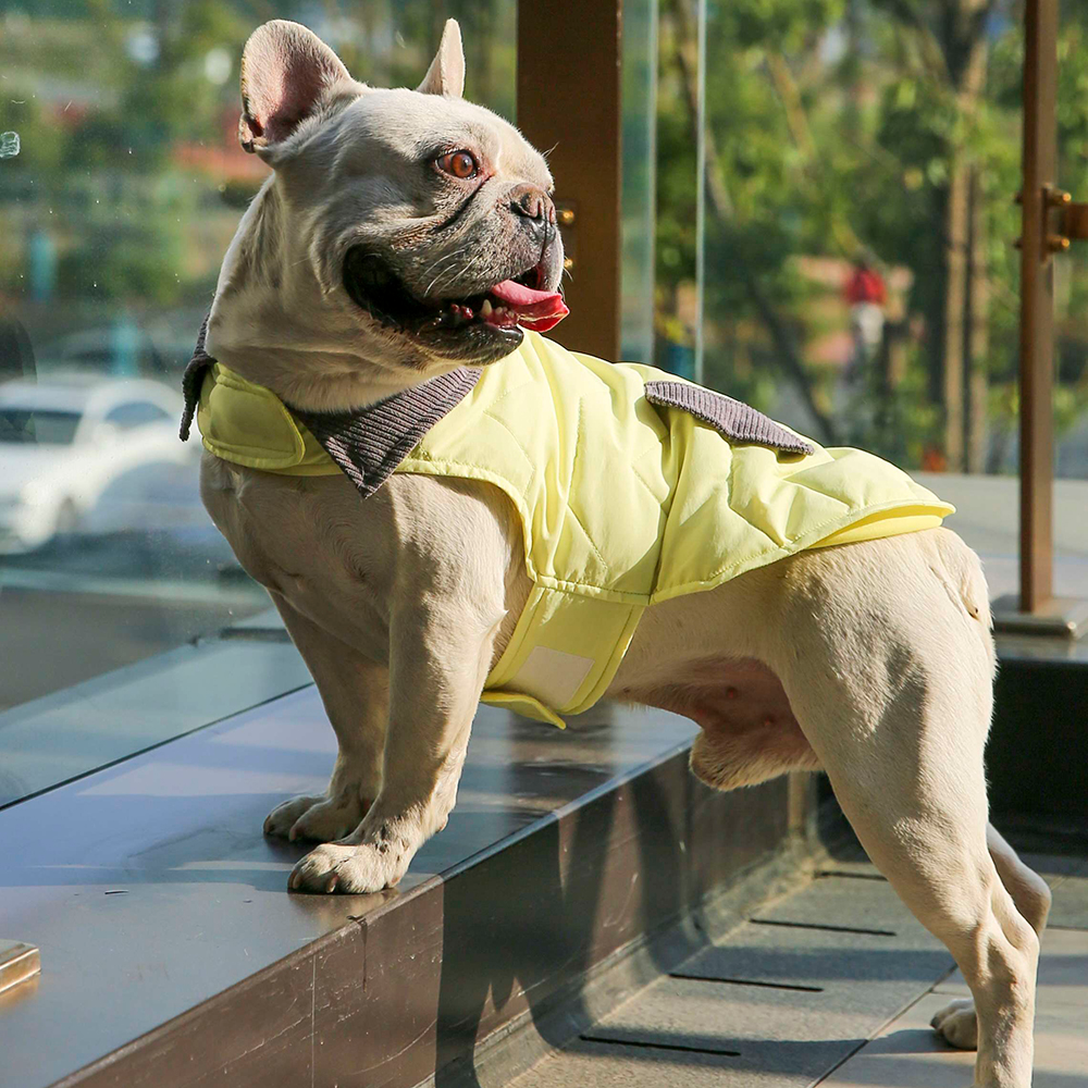 Dog Winter Jackets Outdoor Cold Weather Dog Coat - Image 6