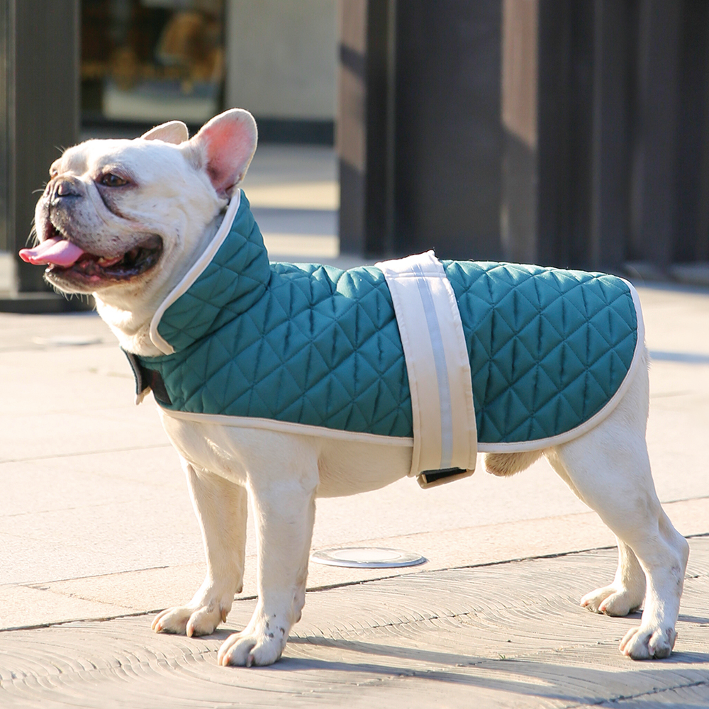 Cute Clothes For Puppy OEM Dog Clothing - Image 4