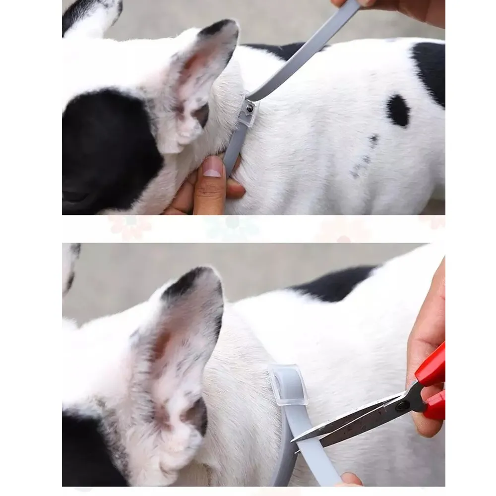 Dog Flea Collar Safe Non-Toxic Pet Accessories Dog Flea And Tick Collar - Image 6