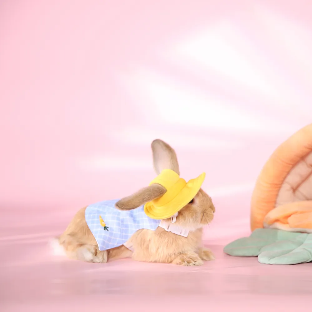 Bunny Hat Clothing Rabbit Ear Hat - Image 6