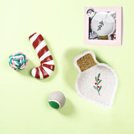 Dog Christmas Toy Set 4 Pieces Pet Dog Toy Gift Pack
