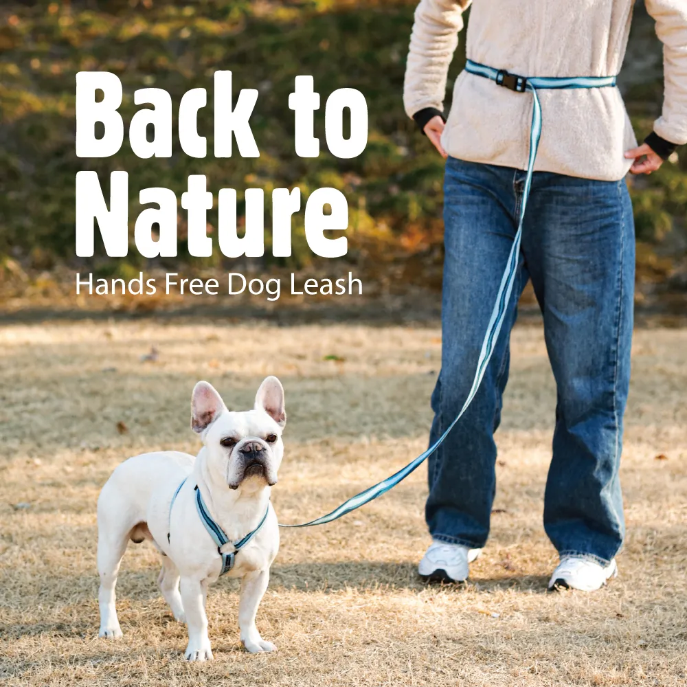 Dog Leash Collar Set Outdoor Travel Multi-Purpose Adjustable Pet Leash Collar - Image 2