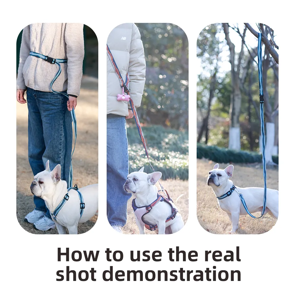 Dog Leash Collar Set Outdoor Travel Multi-Purpose Adjustable Pet Leash Collar - Image 6