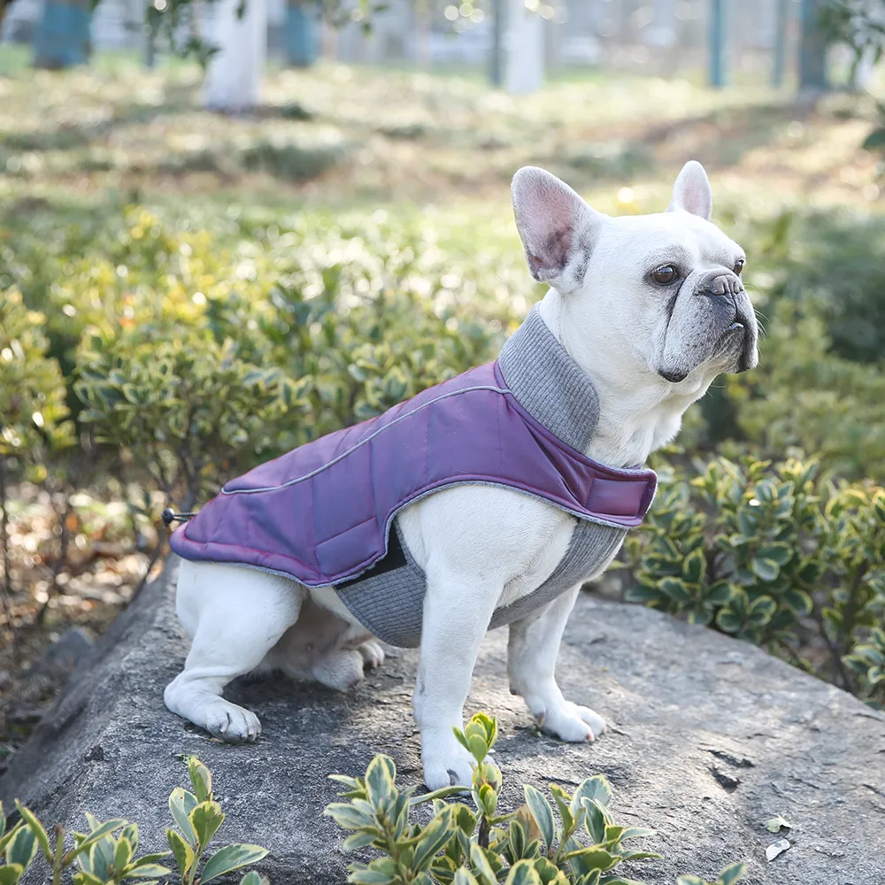 Warm Winter Dog Coats 4 Layers Y-Warm Thermal Insulation Custom Dog Jackets - Image 6