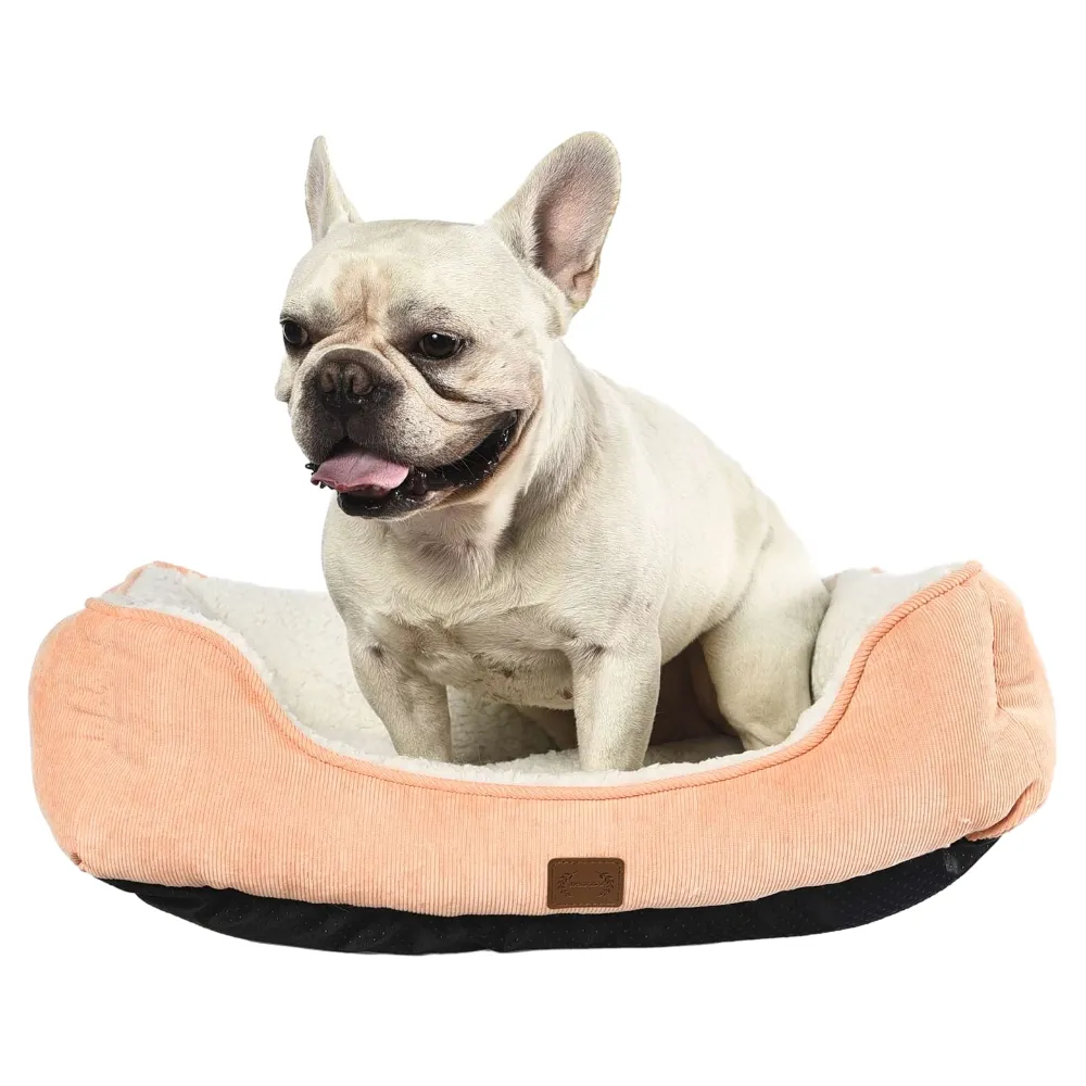 Cat Dog Bed Nice Pet Beds For Sale - Image 6