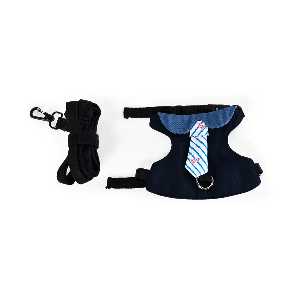 Bunny Rabbit Harness Small Animal Supply Rabbit Harness And Leash