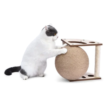 Cat Scratch Ball Cat Toys Furniture With Rolling Ball
