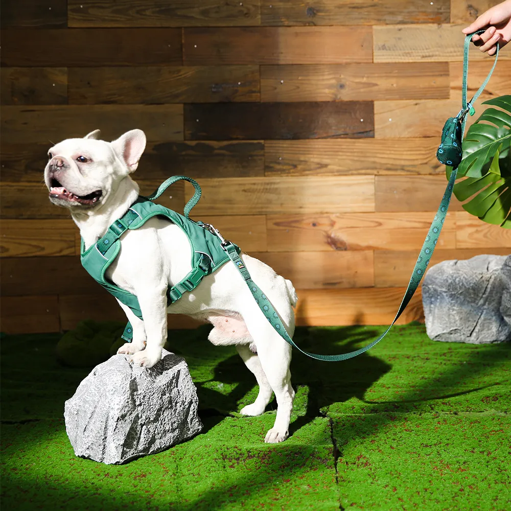 Dog Harness Vest Comfortable Luxury Dog Harness - Image 5