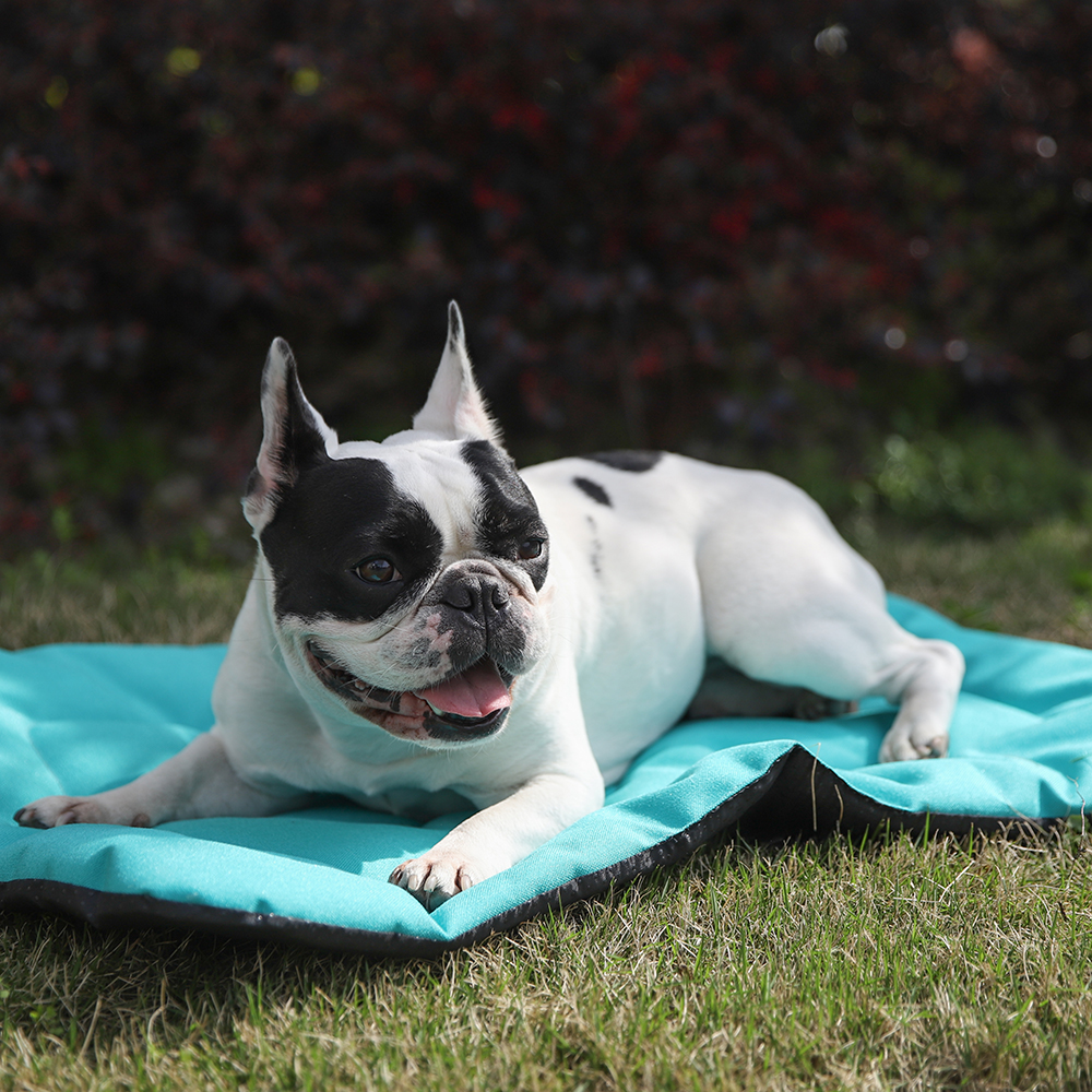 Oxford Pet Bed Durable Outdoor Dog Bed - Image 2