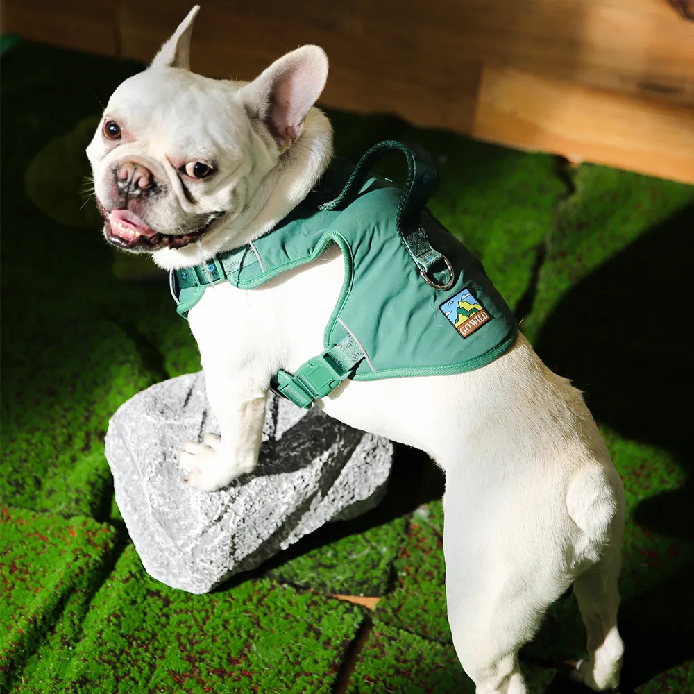 Dog Harness Vest Comfortable Luxury Dog Harness - Image 6