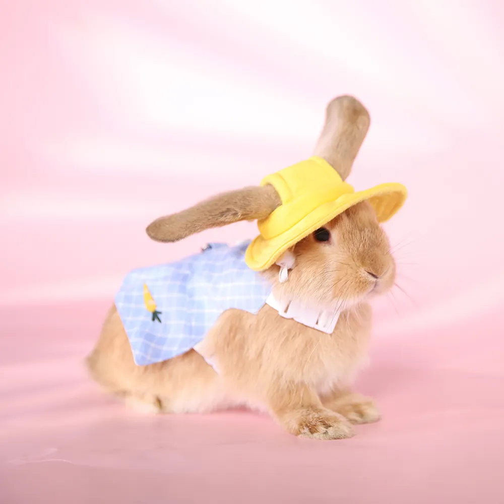 Bunny Hat Clothing Rabbit Ear Hat - Image 5
