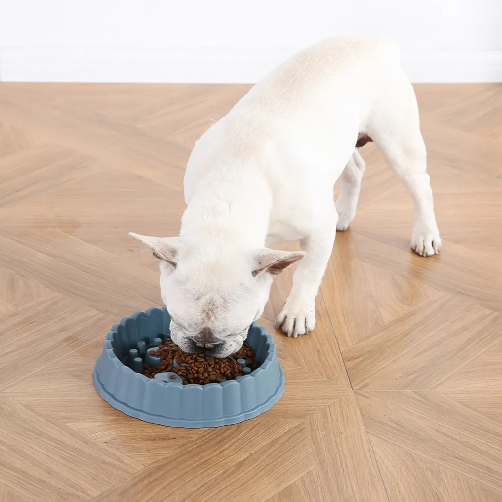 Custom Round Slow Dog Food Bowl - Image 3