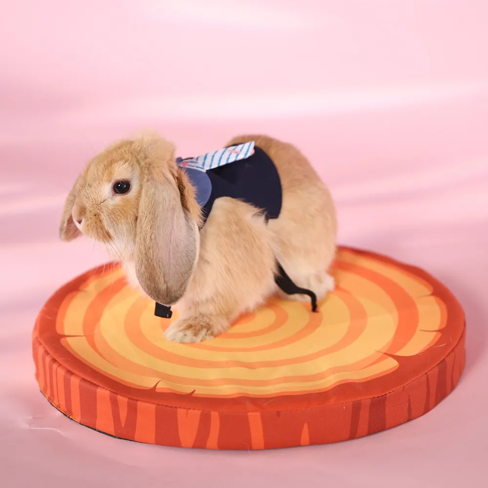 Bunny Rabbit Harness Small Animal Supply Rabbit Harness And Leash - Image 6