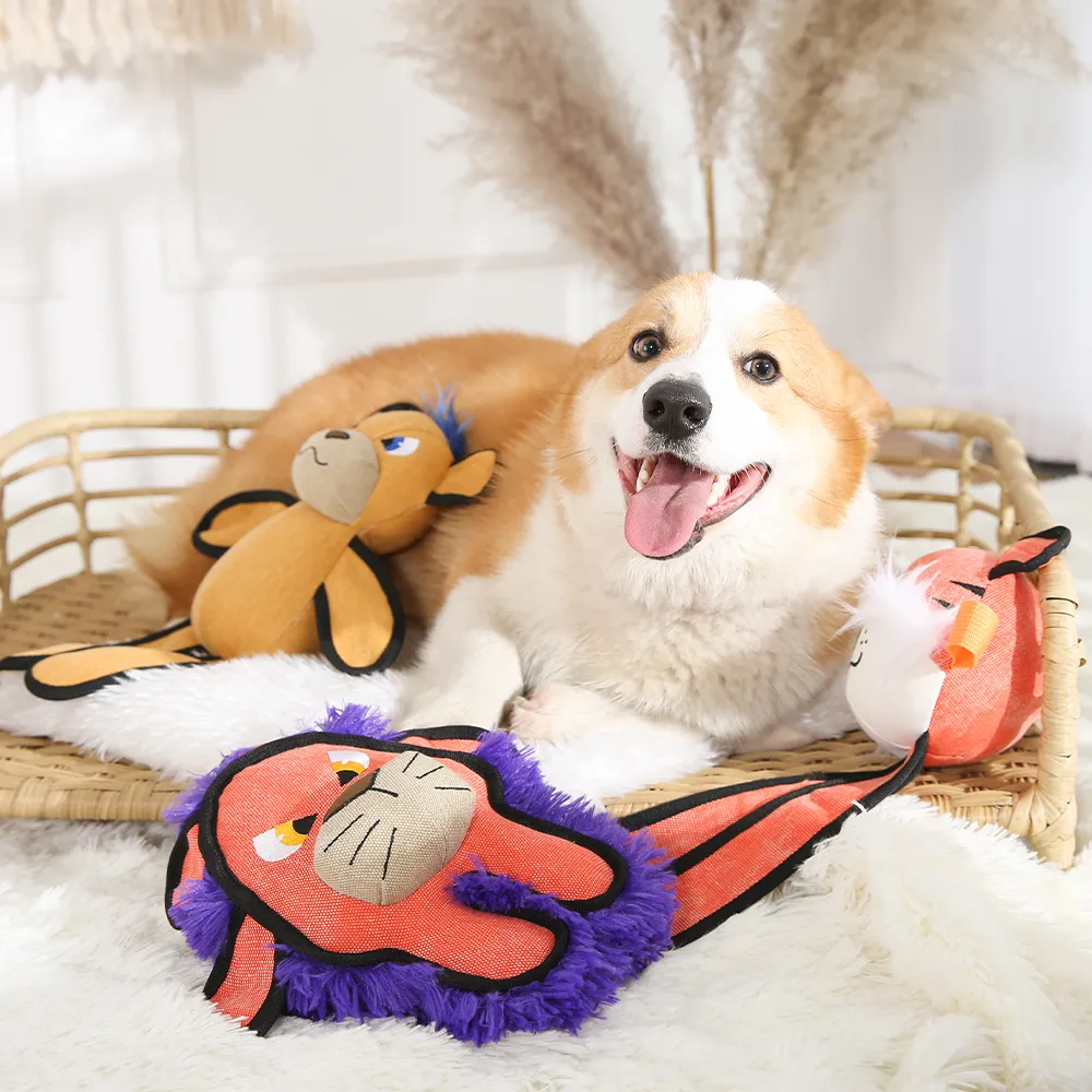 Distributors Canvas Dog Toy Squeaky Bear - Image 4