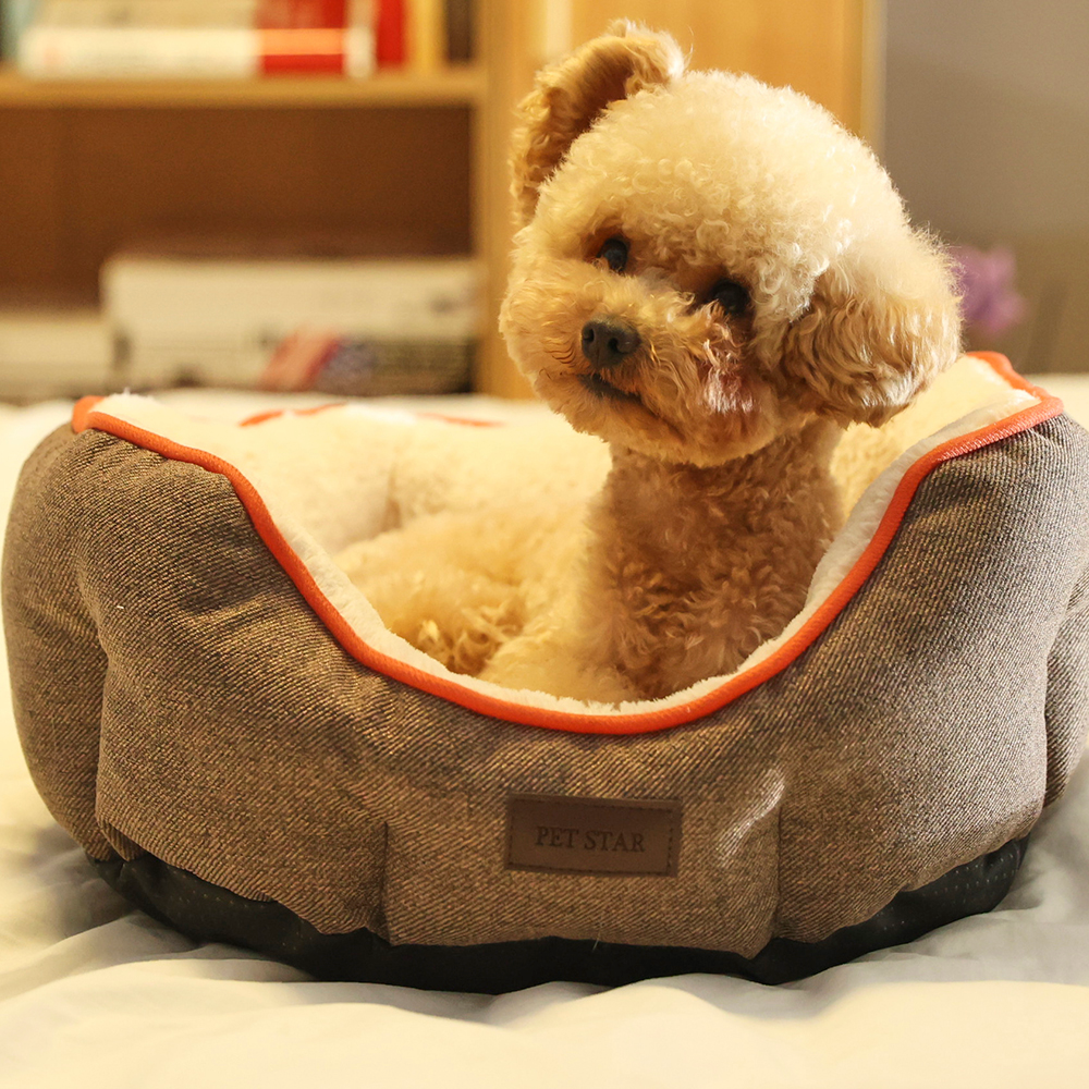 Dog Bed With Removable Cushion Waterproof Warming Cat Beds - Image 3