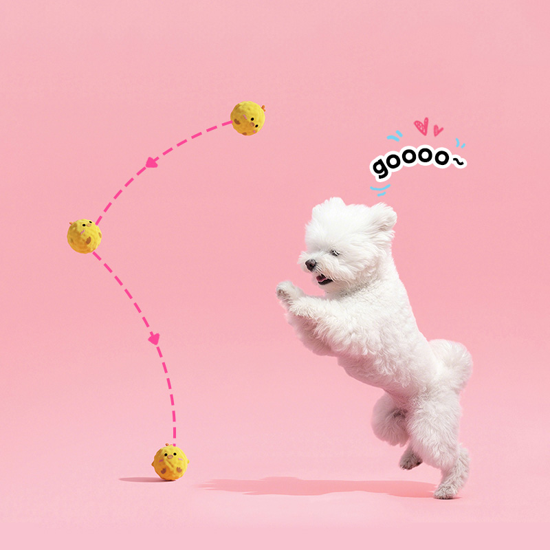 The "Wobble & Squeak" Plush Dog Ball Toy - Image 3