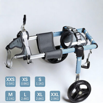 Dog Apparel & Accessories