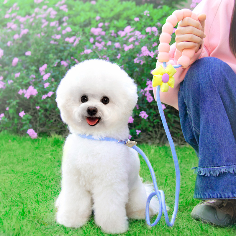 Dopamine Flower Doll Dog Leashes