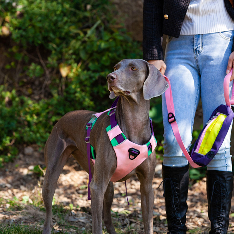 Glow-in-The-Dark Vest-Style Dog Harness