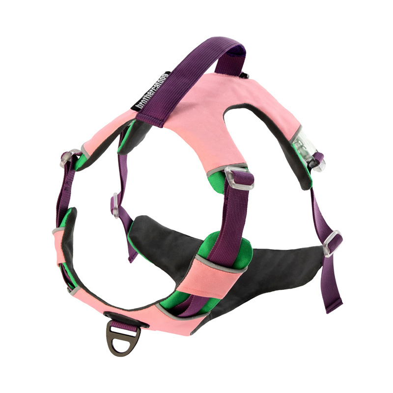 Glow-in-The-Dark Vest-Style Dog Harness