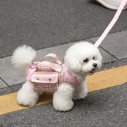 Light Luxury Crossbody Pet Carrier