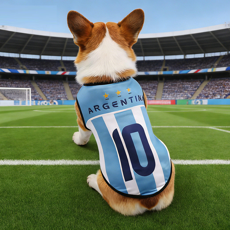 Summer Thin Soccer Team Dog Vest