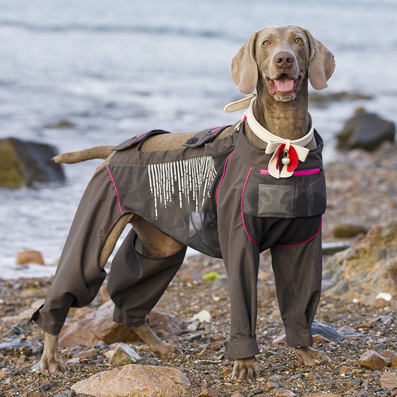 Cooling Stain-resistant Dog Outdoor Clothing