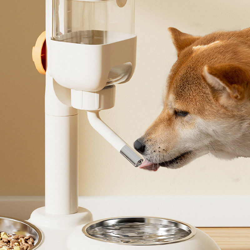 Adjustable Upright Automatic Dog Water Fountain
