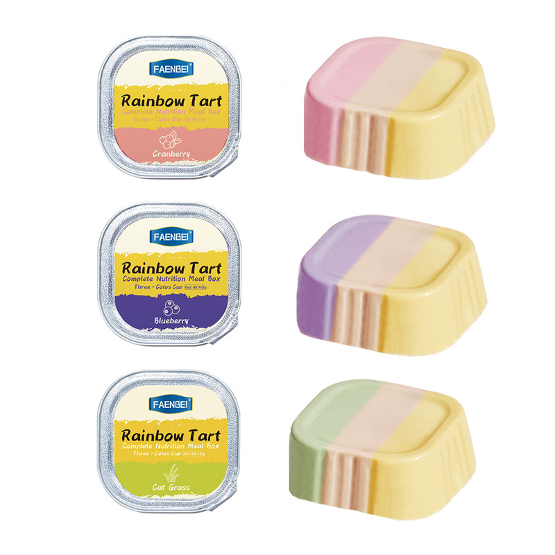 FAENBEI Rainbow Tart Complete Nutrition Meal Box