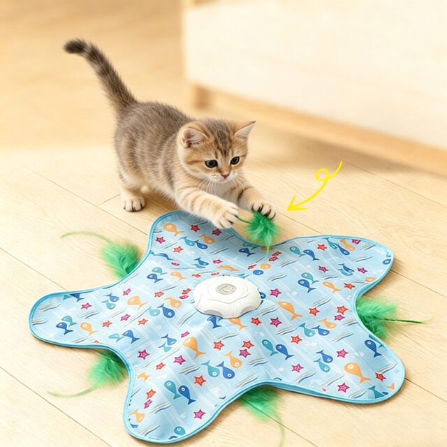 manufacturer-of-the-automatic-star-shaped-cat-toy