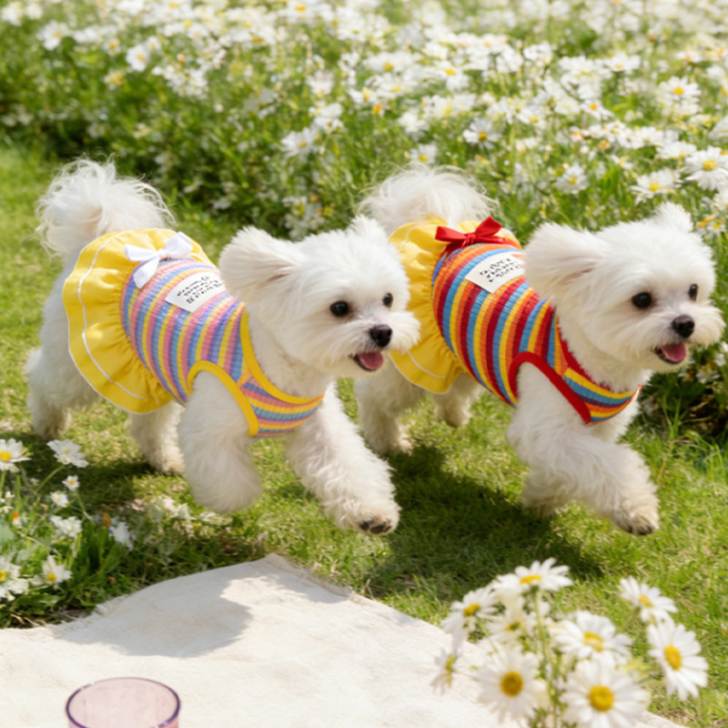 Rainbow-Striped Outdoor Camping Pet Dress