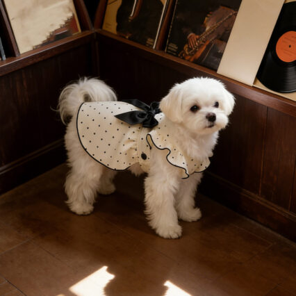 Summer Cooling Polka-Dot Pet Dress