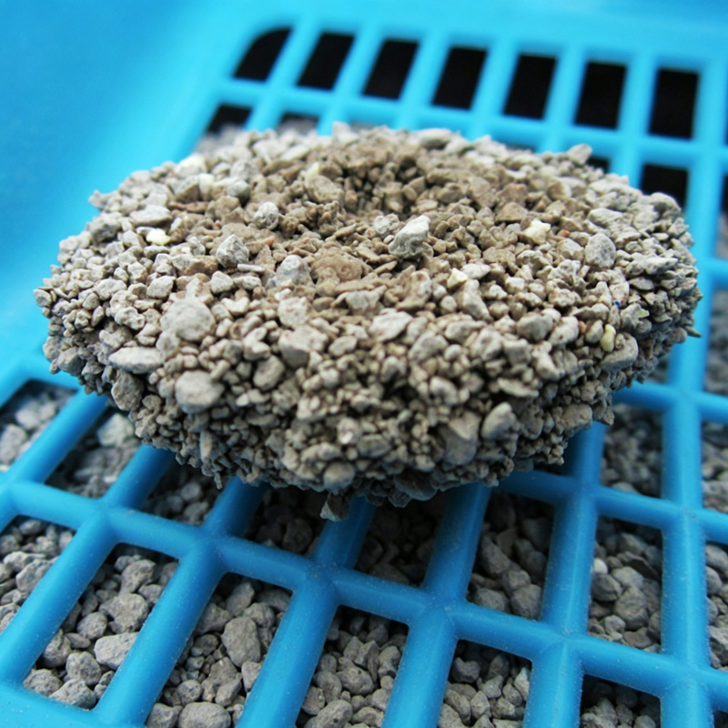 NeoClean Unscented Bentonite Cat Litter