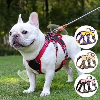 Three-Point Escape-Proof Dog Harness