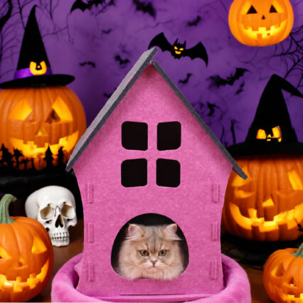 Halloween Felt Detachable Castle Cat Bed