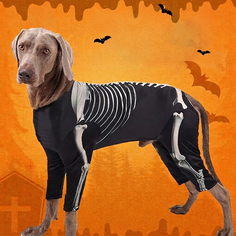 halloween-skeleton-dog-costume