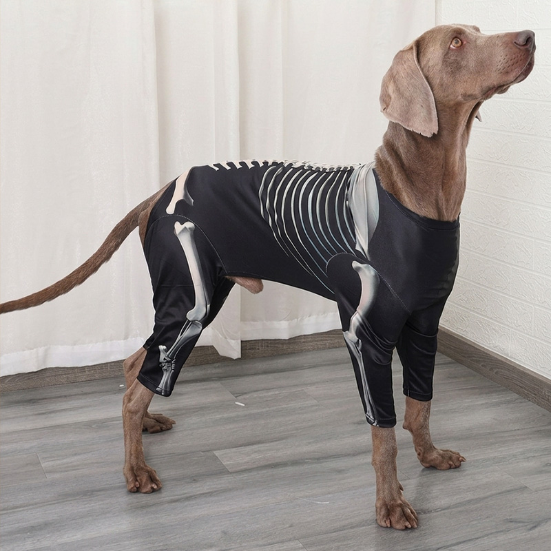 halloween-skeleton-dog-costume