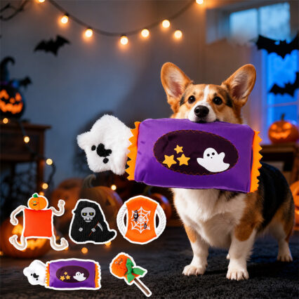 Halloween Squeaky & Teething Dog Toy