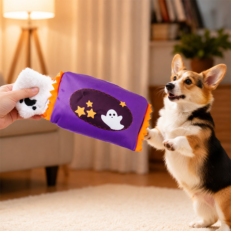 Halloween Squeaky & Teething Dog Toy