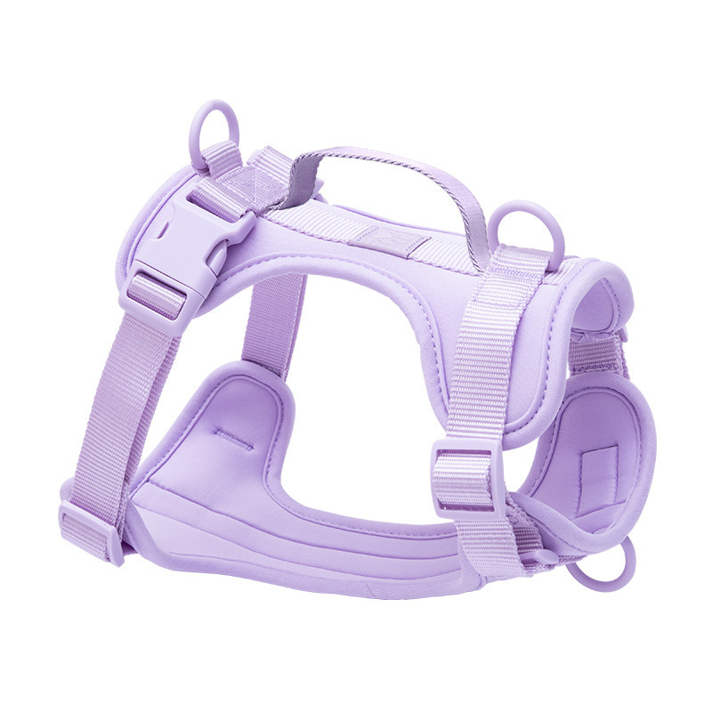 Customizable Color PVC Dog Harness Set