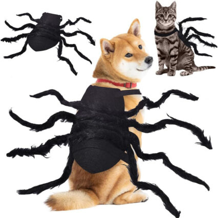 Halloween Spider Pet Costume