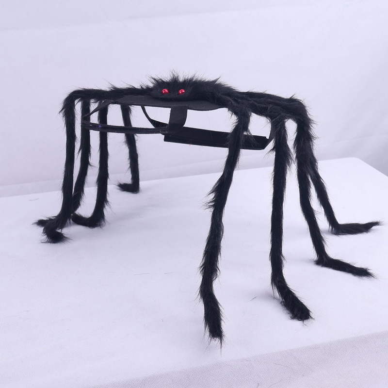 Halloween Spider Pet Costume