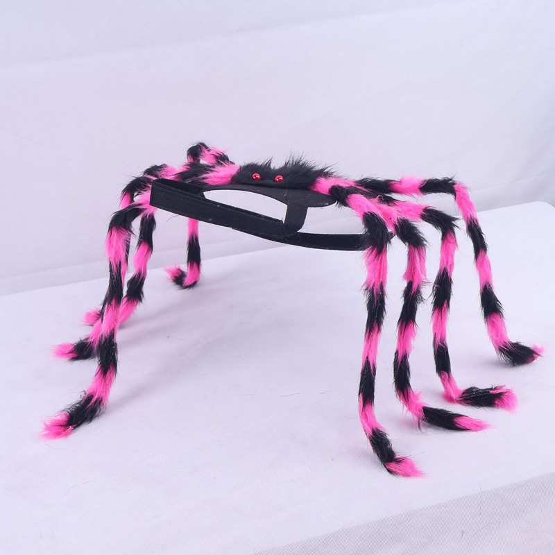Halloween Spider Pet Costume