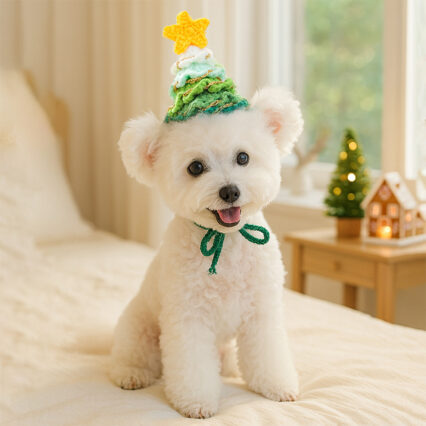 Christmas Holiday Accessories Hats for Dogs