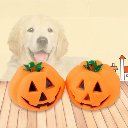 Halloween Pumpkin Fun Squeaky Dog Toy