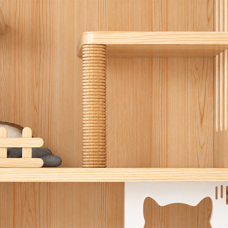 Indoor Cat House with Free-Roaming Space